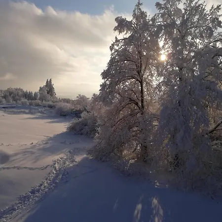 Im Herzen Des Vogelsbergs Direkt An Der Herchenhainer Hoehe Apartmán