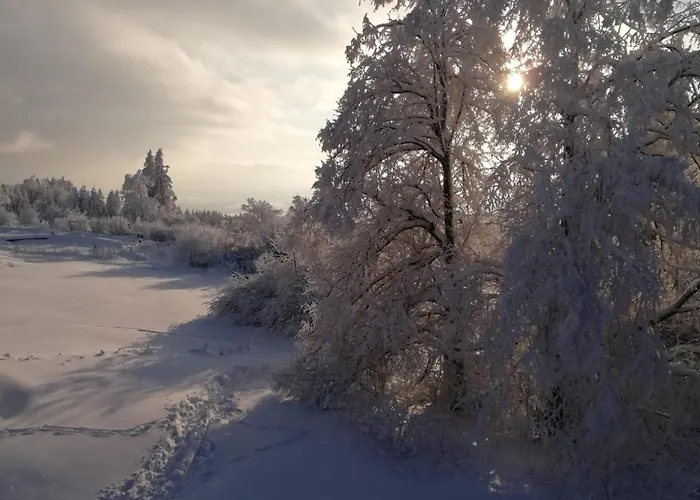 Im Herzen Des Vogelsbergs Direkt An Der Herchenhainer Hoehe Apartmán