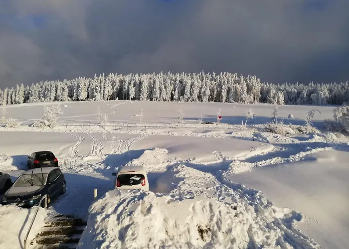 Im Herzen Des Vogelsbergs Direkt An Der Herchenhainer Hoehe